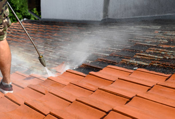 Best Affordable Pressure Washing  in Steiner Ranch, TX
